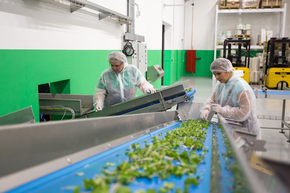 Comité de direction industrielle réuni sur site de production, métiers de transition MT-Transition
